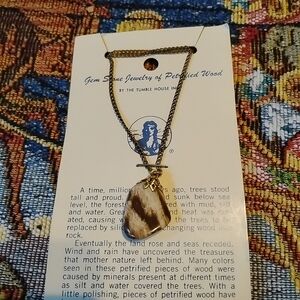 Gemstone jewelry of petrified wood necklace